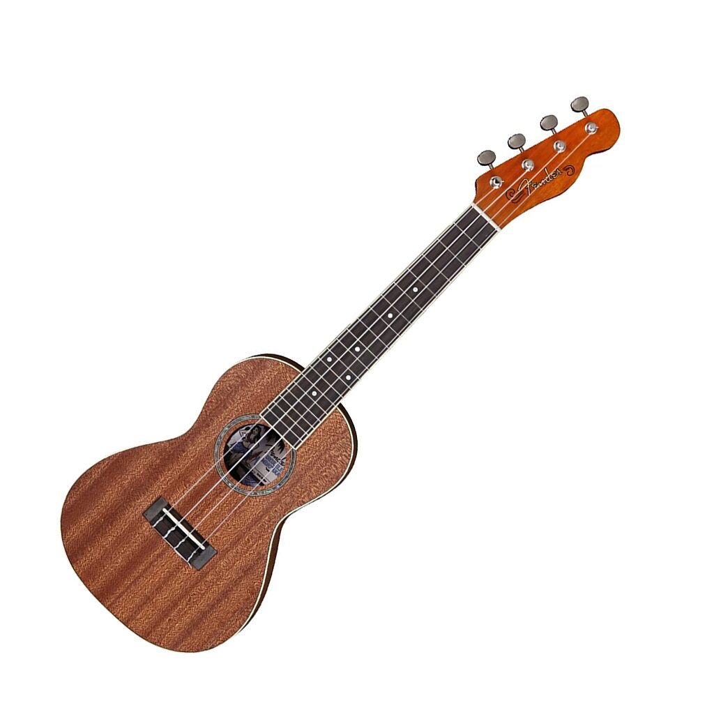 Fender Zuma Concert Ukulele, Natural WN Showgear Nigeria